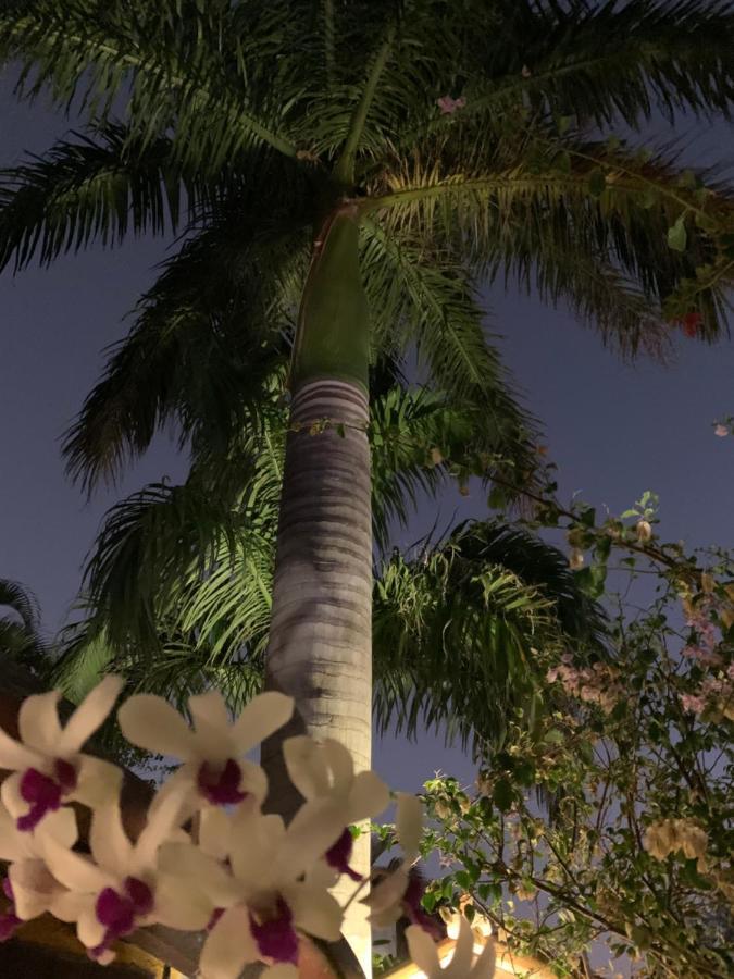 Villa Lulu Maison Búzios المظهر الخارجي الصورة
